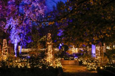 El Jardín Botánico vuelve a iluminarse con un nuevo espectáculo por Navidad